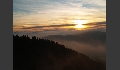 P1019295.JPG