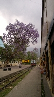 Malerischer ausblick aus dem Waggon der Kangra Valley Bahn