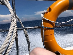 Zurück mit dem Schnellboot