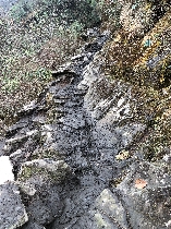 Matschiger Weg
