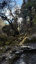 Letzter Sonnenschein 
