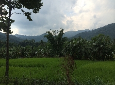  Auf dem Weg nach Darjeeling