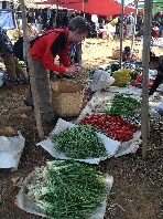  Beim Kauf der Wassertomaten