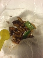 Der kleine Snack zwischendurch