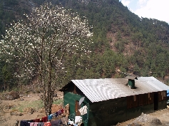 Frühling im Khumbu