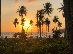 Impressionen im Sonnenuntergang 