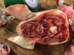 Hinter dem Schwein