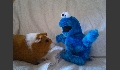 p20120608342.JPG