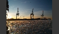 Impressionen im Kontainerhafen