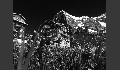 Impressionen des Hotel Belleveu des Alps