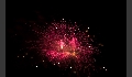 Sommernacht-19.JPG