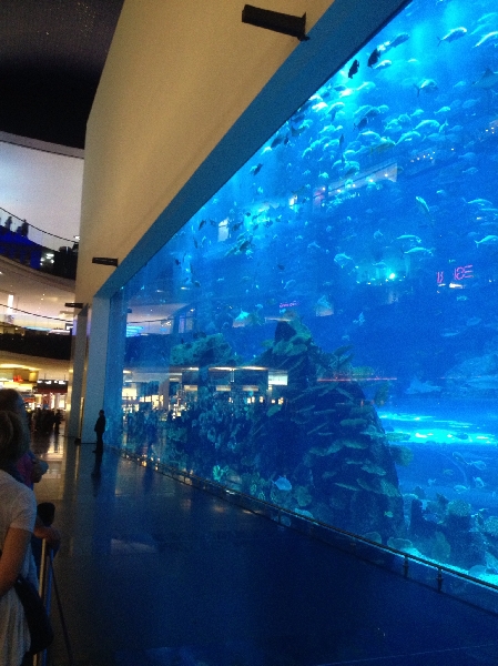 Ein kleines Aquarium in mitten des Einkaufzentrum