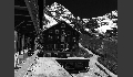 Hotel Bellevue des Alps