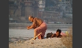 Leben am Ganges